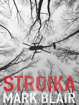 cover image of Stroika